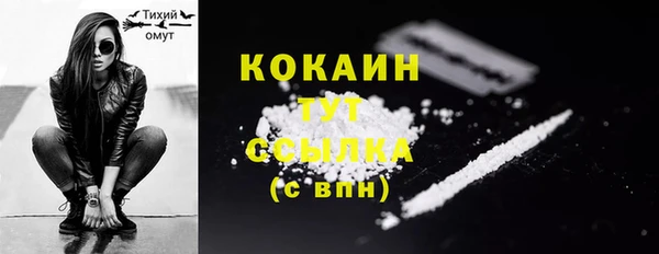 молекула духа Новодвинск