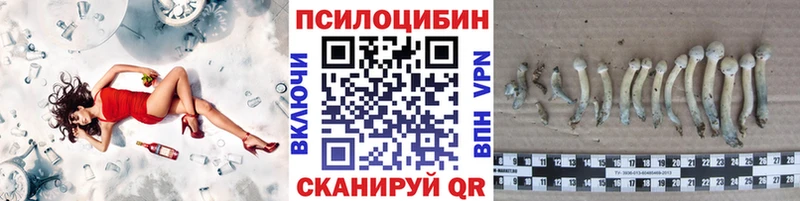 Галлюциногенные грибы GOLDEN TEACHER  Купить где  Карпинск 