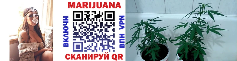 Бошки марихуана гибрид  Купить закладки  Карпинск 
